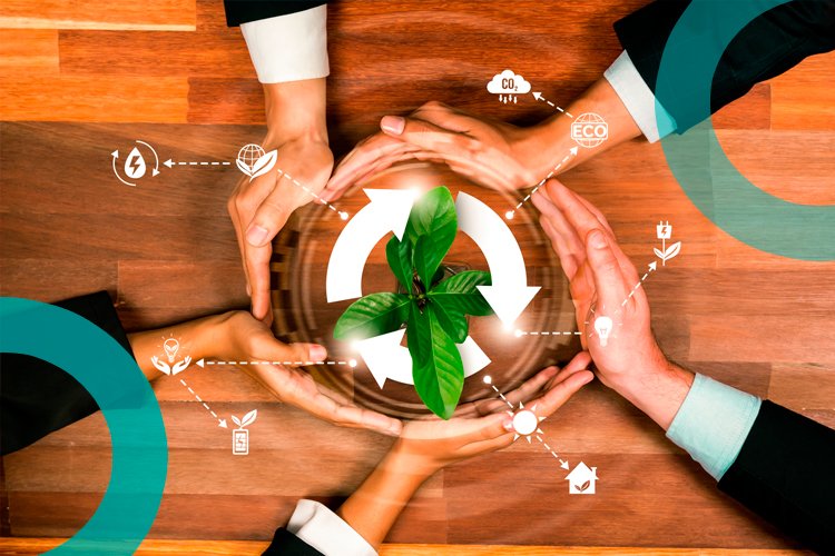 Facilities verdes: como transformar prédios em aliados da sustentabilidade corporativa